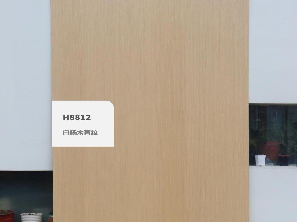 H8812白楊木直紋