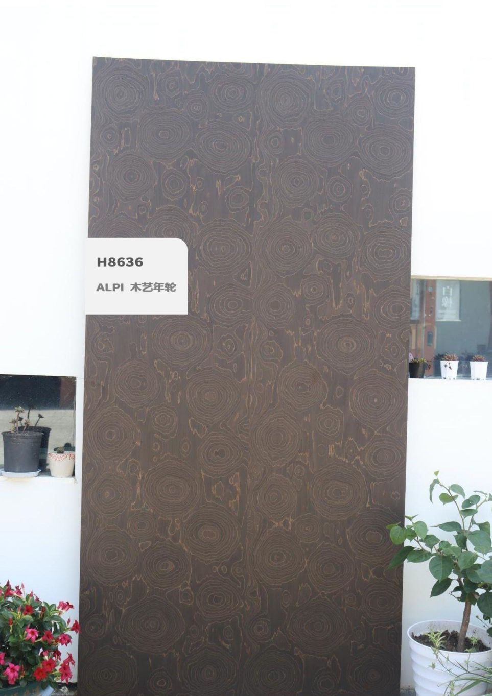 香港福江南板材,福江南木業,香杉木生態板銷售,桐木生態板銷售,